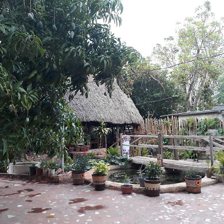 El Chac Mool Bed & Breakfast Santa Elena Eksteriør bilde