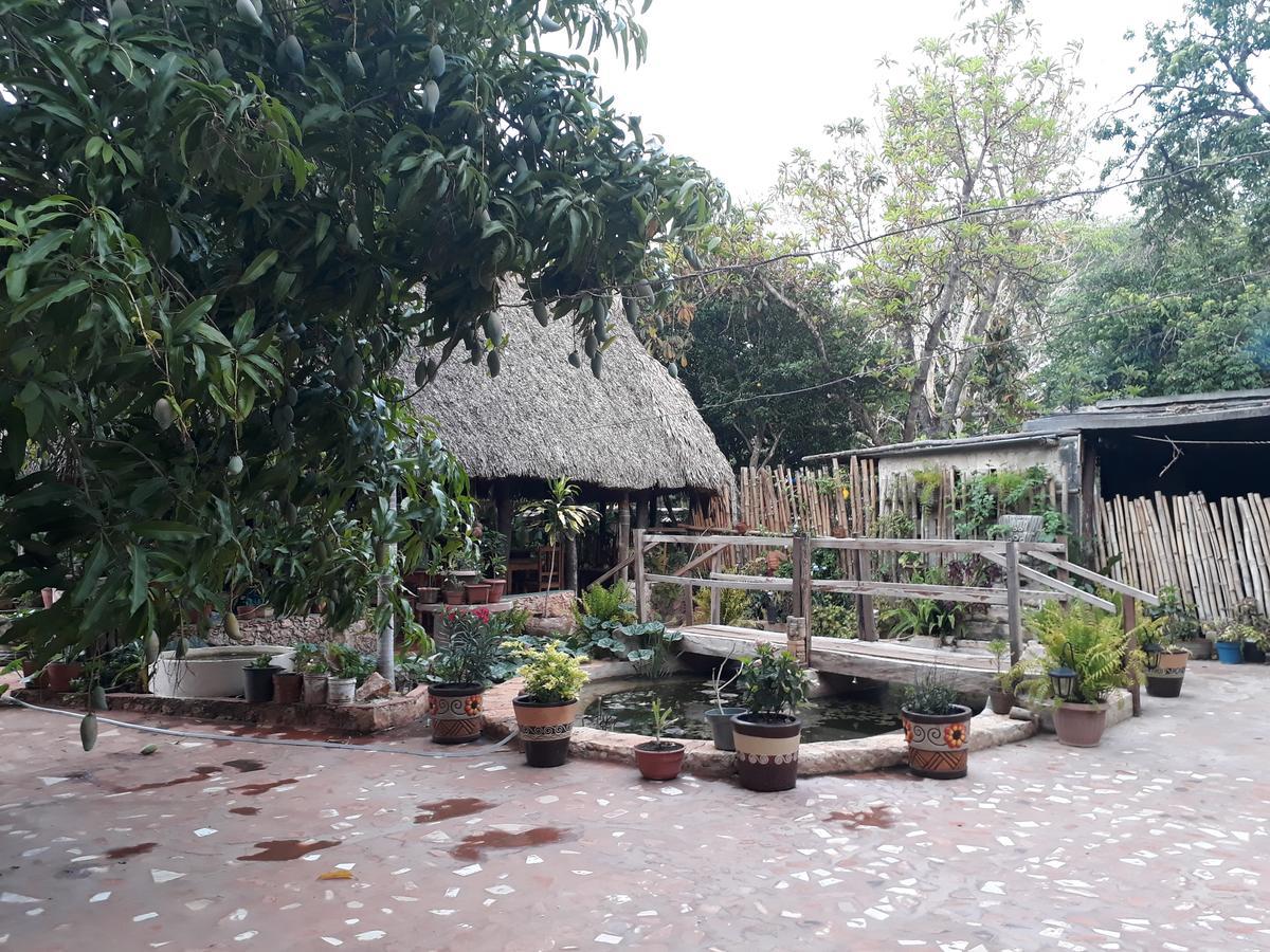 El Chac Mool Bed & Breakfast Santa Elena Eksteriør bilde