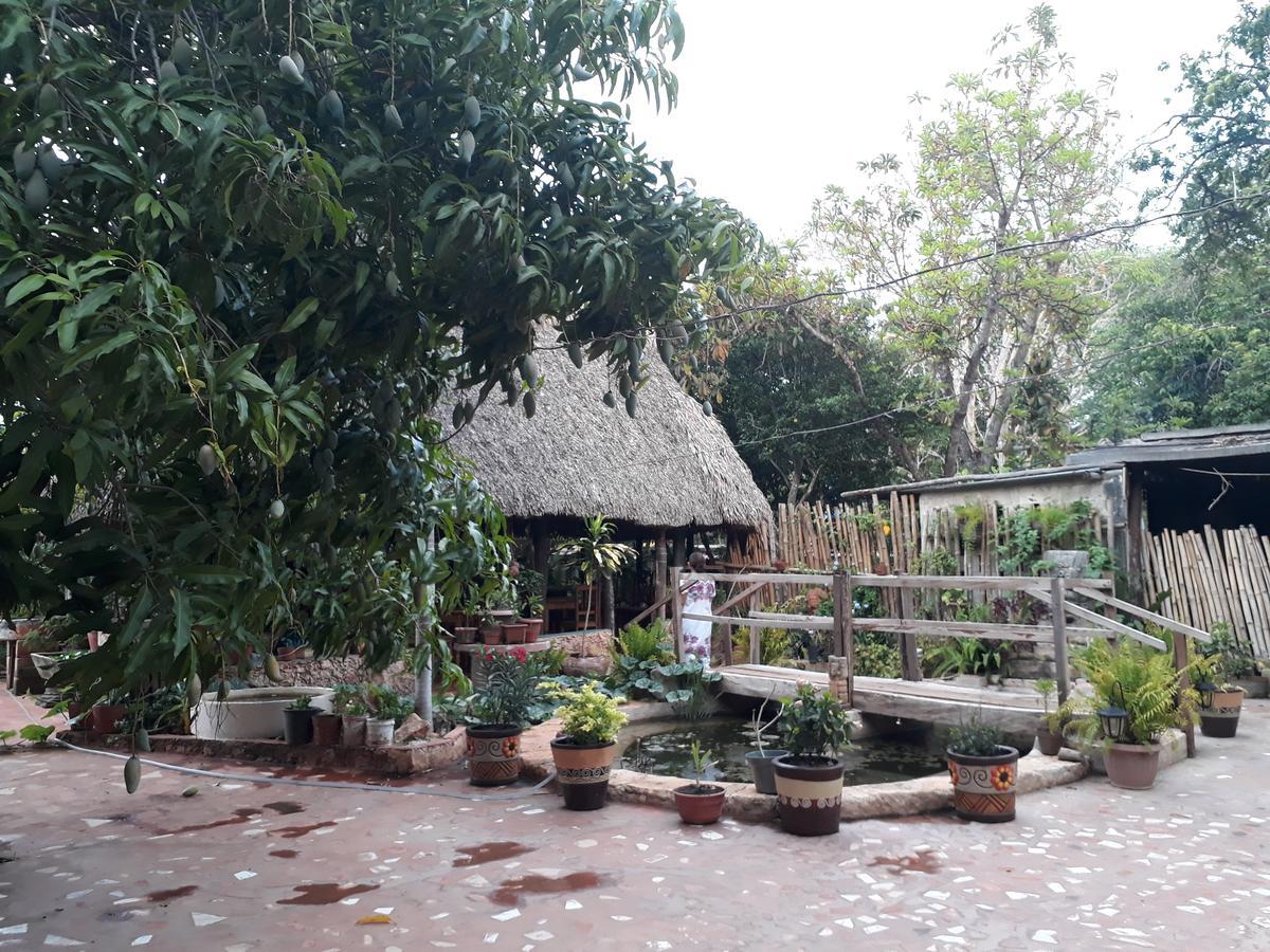 El Chac Mool Bed & Breakfast Santa Elena Eksteriør bilde